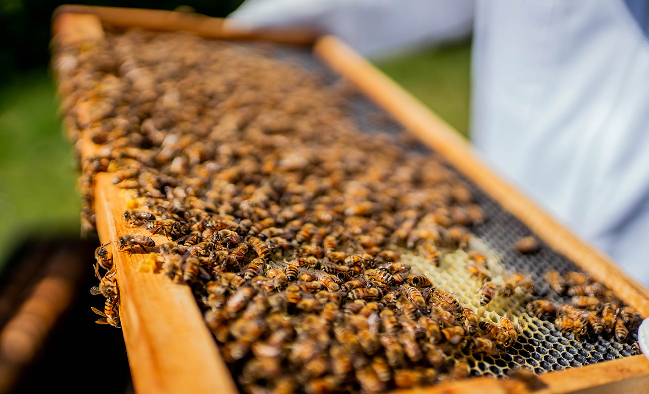 Contact Tourisme Coaticook