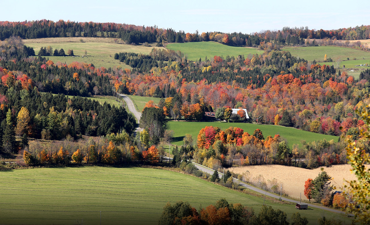 Dixville Municipality